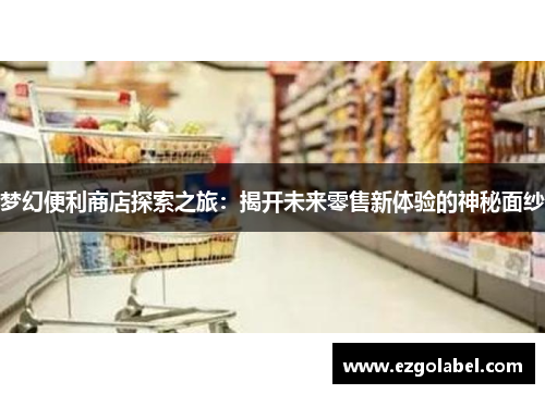 梦幻便利商店探索之旅：揭开未来零售新体验的神秘面纱